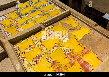 Animals skins drying. Tannery of Fes. Fes, Morocco, North Africa Stock Photo