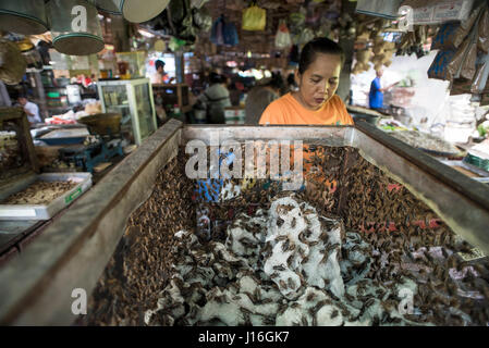 Insect Vendor At The Animal Market In Yogyakarta, Java, Indonesia Stock Photo