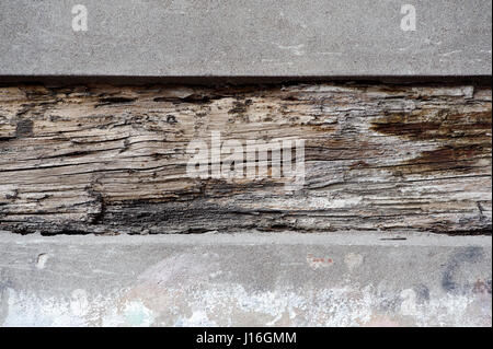 Backgrounds and textures: old wood plank between concrete blocks Stock Photo