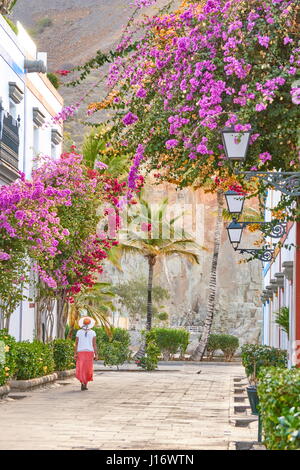 Street of Puerto de Mogán with its white houses with the frames of ...