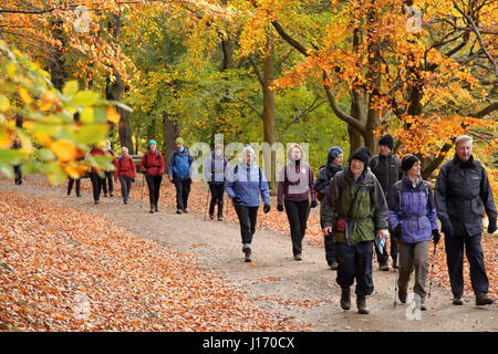 Walkers on a dramatic woodland footpath on the reservoirs circuit in the scenic Upper Derwent Valley Peak District National Park Derbyshire UK autumn Stock Photo