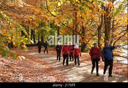 Walkers on a dramatic woodland footpath on the reservoirs circuit in the scenic Upper Derwent Valley Peak District National Park Derbyshire UK autumn Stock Photo