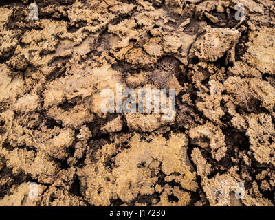 Mineral formations at sulphur lake Dallol in a volcanic crater in the Danakil Depression, northeast of the Erta Ale Range in Ethiopia. The lake with i Stock Photo