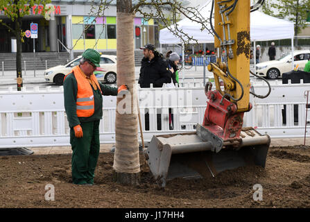 Munich, Germany. 19th Apr, 2017. A worker oversees the planting of a tree in Munich, Germany, 19 April 2017. The tree is part of a memorial to the victims of a massacre in a shopping mall in Munich in July 2016. Photo: Tobias Hase/dpa/Alamy Live News Stock Photo