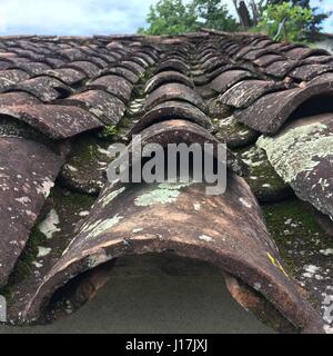 close up view of old and rustic roof tiles, full frame Stock Photo