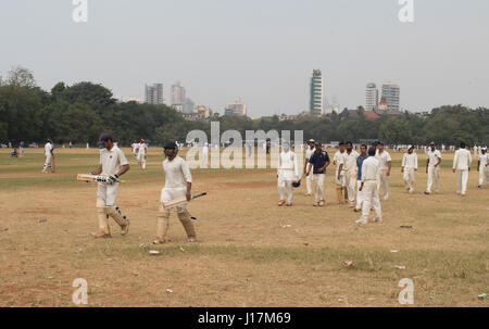 Men playing cricket on Oval Maidan, in Mumbai,India. Stock Photo