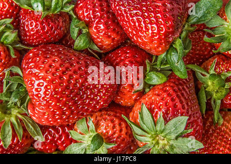 Pile of beautiful strawberries on a pile background Stock Photo
