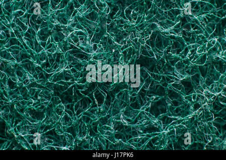 Detailed texture of washing sponge Stock Photo