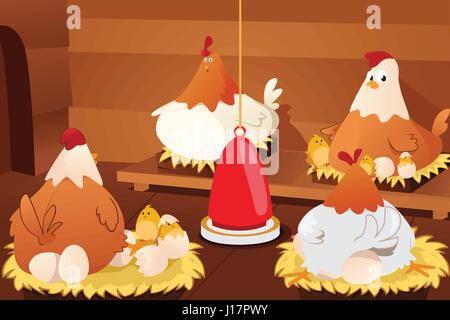 A vector illustration of chicken hatching eggs in a barn Stock Vector