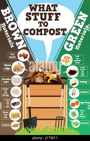 A vector illustration of what stuff to compost infographic Stock Vector