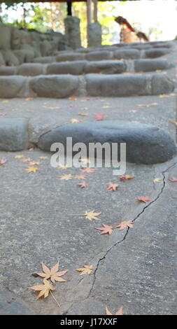 Red and yellow Japanese maple leaves, momiji, on a stone stair of stone steps, autumn, Japan. Stock Photo