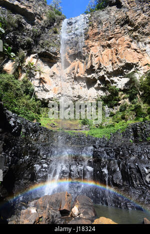 Purling brook falls, Australia Stock Photo