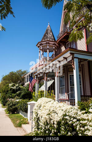 Victorian house with a Silver Lace vine draping over on a fence, cape May, New Jersey, Star of Jasmine twining flowering vine border Stock Photo