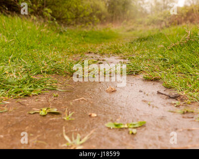 A Wet and Muddy Path Through the Countryside as seen from the ground level Stock Photo