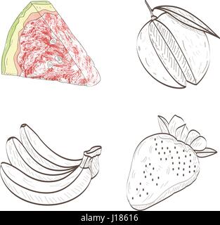 Isolated fruits outlines Stock Vector