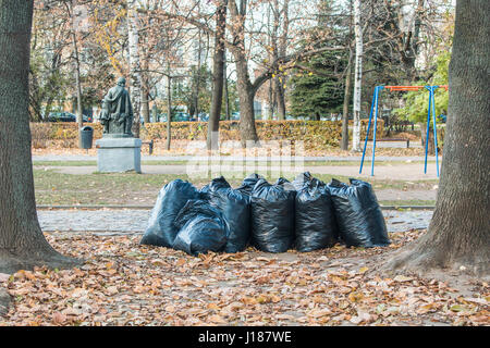 Sacks of foliage, among autumn leaves and trees in a bright sunny day blue sky. Stock Photo