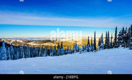 Winter landscape overlooking the forest  on the ski slopes on Sun Peaks Mountain in British Columbia, Canada Stock Photo