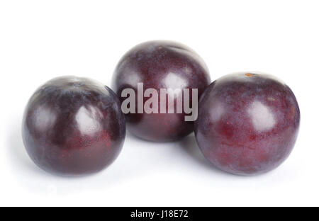 Plums isolated on white Stock Photo