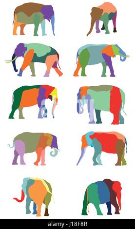 Set of vector colorful standing indian and african elephants on white background Stock Vector
