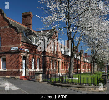 Cherry blossom trees in Newburn village, Newcastle upon Tyne, North East England, England, United Kingdom Stock Photo