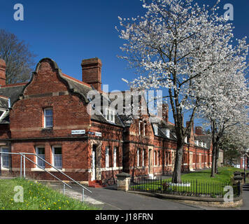 Cherry blossom trees in Newburn village, Newcastle upon Tyne, North East England, England, United Kingdom Stock Photo