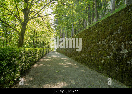 Scenic green Ferraris garden in small karst village of Stanjel in Slovenia Stock Photo