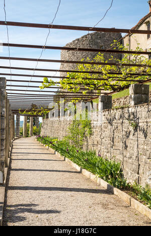 Scenic green Ferraris garden in small karst village of Stanjel in Slovenia Stock Photo