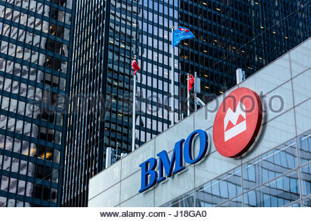 bmo head office contact