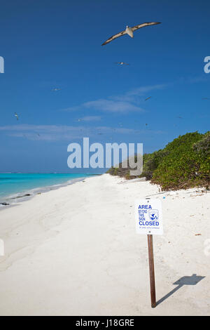 USFWS Area Closed sign in Midway Atoll National Wildlife Refuge to protect critical habitat for endangered species, Laysan Albatross flying overhead. Stock Photo