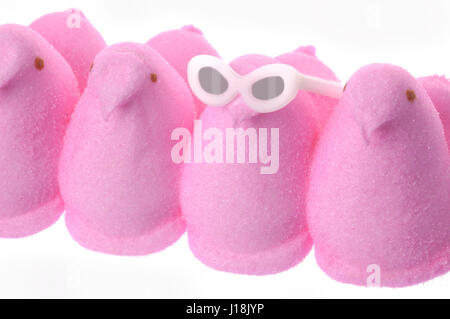 Peeps marshmallow chick candy, classic springtime or Easter treat. One individual peep stands out from the crowd, wearing sunglasses. Stock Photo