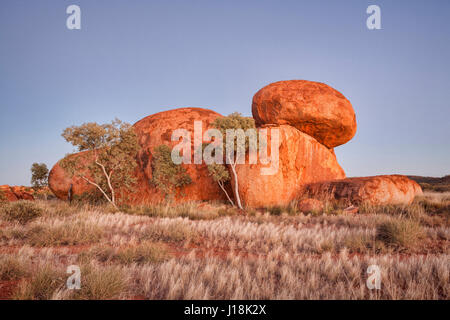 Morning light on the red granite boulders and ghost gums of the Devil's Marbles area in Australia's Northern Territory. Stock Photo