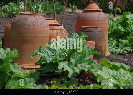 Rhubarb Forcing Pots in a Kitchen Garden Stock Photo
