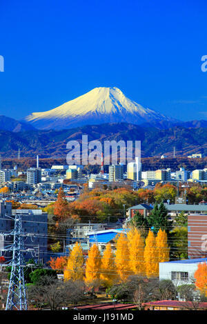 Mount Fuji View from Higashiyamato city Tokyo Japan Stock Photo