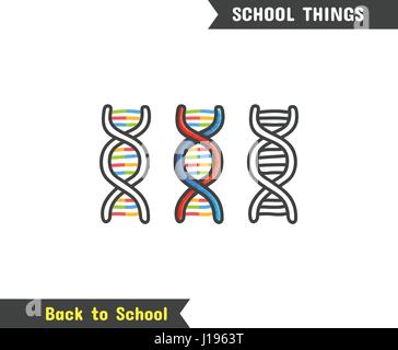 Back to School Supplies, vector hand drawn icon, isolated on white, cartoon style. DNA double helix structure Stock Vector
