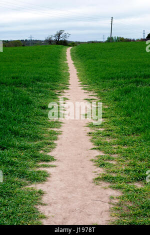 A public footpath through arable land, Warwickshire, UK Stock Photo