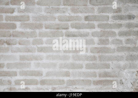 Background - an unpainted plastered wall on which white contours of bricks are visible Stock Photo