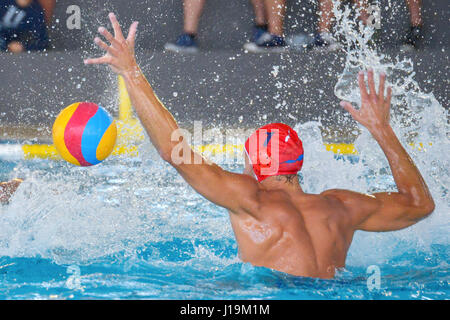 Water polo player in swimming pool. Stock Photo