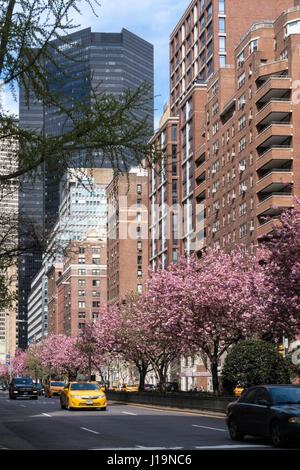 Park Avenue in Midtown Manhattan, NYC, USA Stock Photo
