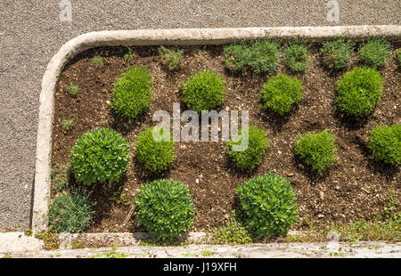 Scenic green Ferraris garden in small karst village of Stanjel in Slovenia Stock Photo