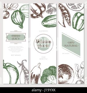 Vegetables - color hand drawn square flyers set. Stock Vector