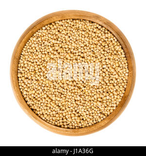 Yellow mustard seeds in wooden bowl. Sinapis alba, also white mustard or eye of newt. Used for sprouting, as spice and for making mustard. Stock Photo
