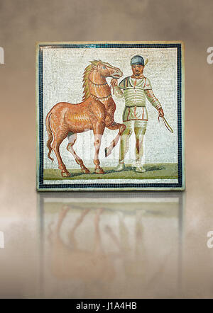 Roman geometric floor mosaic depicting horsemen and their horses from the Circus  from  a room of a villa  in the locality Baccano near the Via Cassia Stock Photo