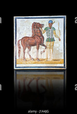 Roman geometric floor mosaic depicting horsemen and their horses from the Circus  from  a room of a villa  in the locality Baccano near the Via Cassia Stock Photo