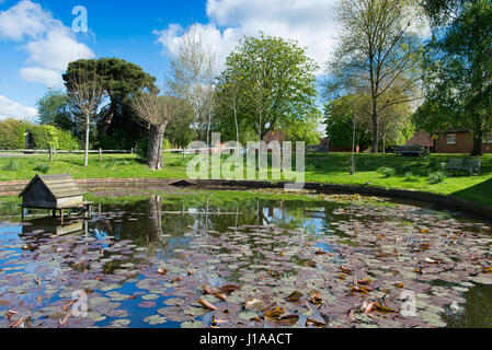 A small pond with duck house in the village of Wisborough Green, West Sussex, UK Stock Photo