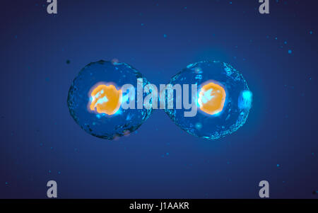 Cell division on blue background. 3d illustration Stock Photo - Alamy