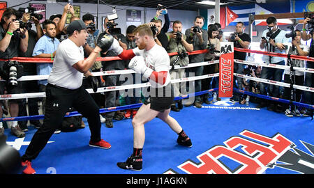 San Diego CA. 19th Apr, 2017. Former Two-Division World Champion Canelo Alvarez works out for the media in San Diego on Wednesday. April 19 ahead of his Cinco de Mayo weekend showdown against Former WBC Middleweight World Champion Julio Cesar Chavez, Jr. The fight is on Saturday, May 6. at the T-Mobil arena and the super-fight will be produced and distributed live by HBO Pay-Per-View.Photo by Gene Blevins/LA Daily News/ZumaPress. Credit: Gene Blevins/ZUMA Wire/Alamy Live News Stock Photo
