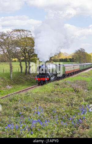 Sheffield Park, East Sussex, UK. 19th April 2017. The Flying Scotsman makes its final journey from Sheffield Park to East Grinstead along the Bluebell Railway line at the end of a week on loan from the National Railway Museum. Between March and October this year, the historic steam locomotive is touring the country as part of the popular 'Scotsman on the Tracks' programme. Credit: David Tomlinson/Alamy Live News Stock Photo