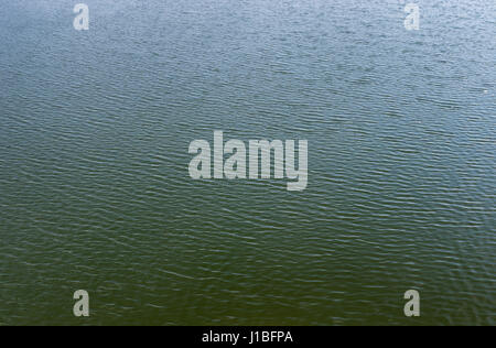 Ripples on the standing lake water in windy day at spring season Stock Photo