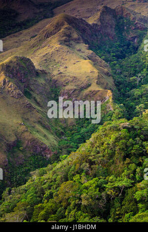 Panama landscape with cloudforest in the mountains of Altos de Campana National Park, Panama province, Republic of Panama, Central America. Stock Photo