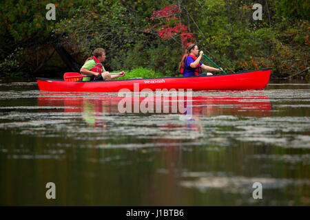 Canoeing the Brule River, Brule River State Forest, Wisconsin Stock Photo